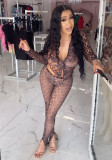 Women Stretch Leopard Mesh Print Top and Slit Pant Two-Piece Set