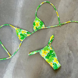 Women's Print Tie Front Bikini Set