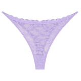 Women's Plus Size Lace Transparent Low Waist Thong