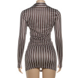 Women's Autumn Winter Fashion Striped Long Sleeve Turndown Collar Button Front Bodycon Skirt Set