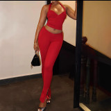 Women's Autumn Casual Solid Color Sleeveless Halter Neck Tight Fitting Pants Set