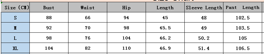 Women Autumn/Winter Long-Sleeved Top and Lace-Up Wide-Leg Trousers Two-Piece Set