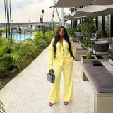 Women Casual Solid Pleated Bow Top and Solid Pant Two-Piece Set