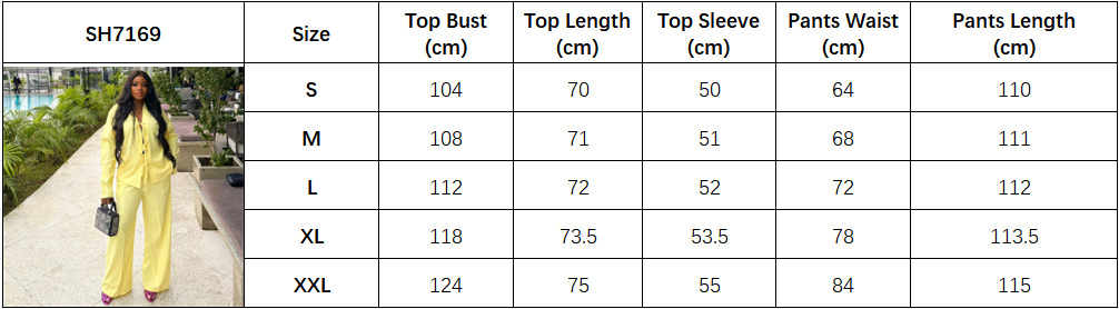 Women Casual Solid Pleated Bow Top and Solid Pant Two-Piece Set