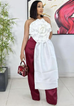 Spring/Summer Women's Floral Ribbon Sexy Low Back Zip-Up Strapless Top