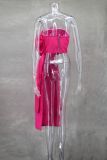 Spring/Summer Women's Floral Ribbon Sexy Low Back Zip-Up Strapless Top