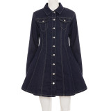 Women Solid Pleated Denim Dress