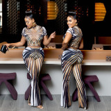 Women Sexy Stripe Print See-Through Mesh Crop Short-Sleeved Top and Skirt Two-Piece Set