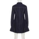 Women Solid Pleated Denim Dress