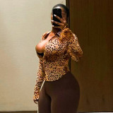 Women's Autumn Winter Leopard Print Turndown Collar Long Sleeve Button-Down Shirt