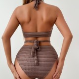 Fashion Texture Brown Halter Neck Two-Piece Swimsuit