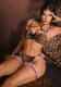 Women Leopard Print Sexy Bra Sexy Lingerie