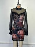 Women Sexy Lace Patchwork Floral Print Mesh Bodycon Dress