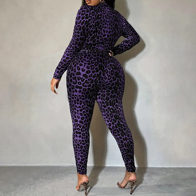 Women Leopard Print Long-Sleeve Top and Pant Two-Piece Set