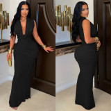 Women Sleeveless Pleated V-Neck Dress