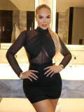 Spring-Fall Women's Sexy Mesh Chic Elegant Bodycon Dress