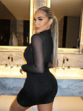 Spring-Fall Women's Sexy Mesh Chic Elegant Bodycon Dress