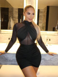 Spring-Fall Women's Sexy Mesh Chic Elegant Bodycon Dress