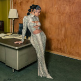 Women Autumn/Winter Snake Print Sexy Round Ring Long-Sleeved Hollow-Out Dress