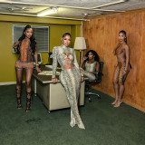 Women Autumn/Winter Snake Print Sexy Round Ring Long-Sleeved Hollow-Out Dress