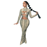 Women Autumn/Winter Snake Print Sexy Round Ring Long-Sleeved Hollow-Out Dress