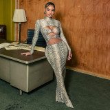 Women Autumn/Winter Snake Print Sexy Round Ring Long-Sleeved Hollow-Out Dress