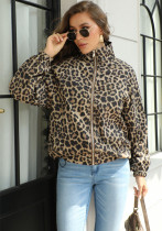 Women Leopard Print Turndown Collar Jacket Top Women Leopard Print Turndown Collar Jacket Top