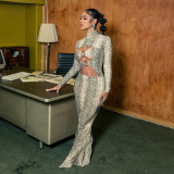 Women Autumn/Winter Snake Print Sexy Round Ring Long-Sleeved Hollow-Out Dress