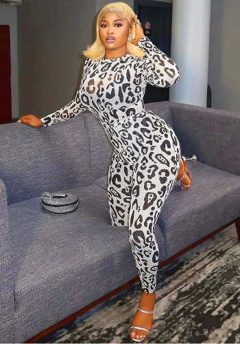 Women's Fashion Chic See-Through Leopard Print Top Pants Set