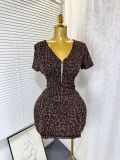 Women's Summer Sexy V-Neck Zipper Stretch Mesh Leopard Print Bodycon Dress