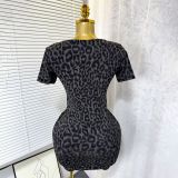 Women's Summer Sexy V-Neck Zipper Stretch Mesh Leopard Print Bodycon Dress