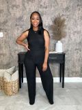 Women Solid Sleeveless Round Neck Top and Pants Two-Piece Set
