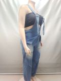 Women Autumn/Winter Casual Zipper Wide-Leg Denim Overalls