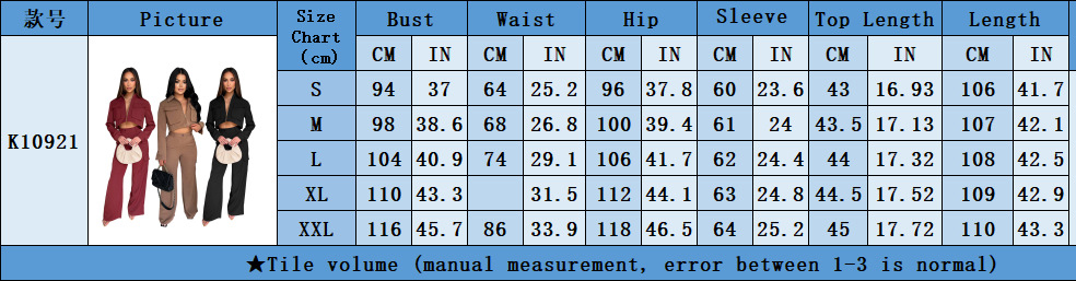 Women's Long Sleeve Turndown Collar Zipper Top Cargo Pants Set