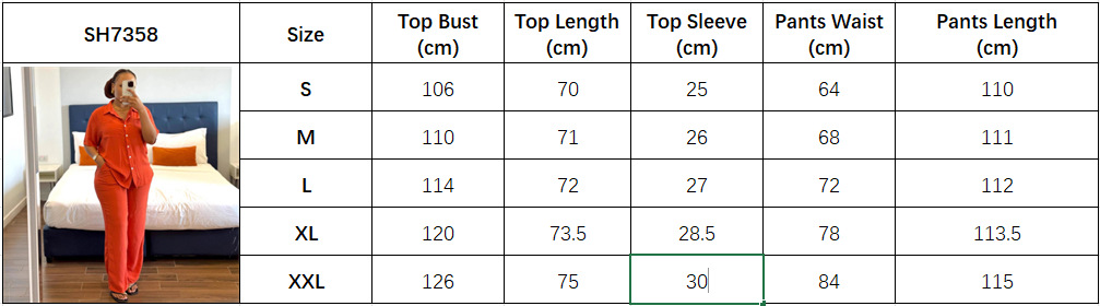 Women's Plus Size Casual Loose Turndown Collar Solid Color African Pants Set