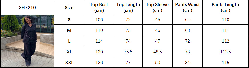 Women's Plus Size Turndown Collar Solid Color African Pants Set