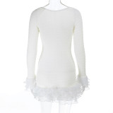 Women's Autumn Textured Lace Trim Long Sleeve Slim Fit Dress