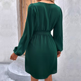 Women's Spring/Autumn Chic Solid Color Long Sleeve Dress