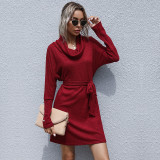 Women's Autumn Black Turtleneck Solid Knit Sweater Dress