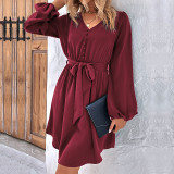 Women's Spring/Autumn Chic Solid Color Long Sleeve Dress
