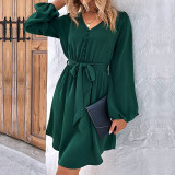 Women's Spring/Autumn Chic Solid Color Long Sleeve Dress