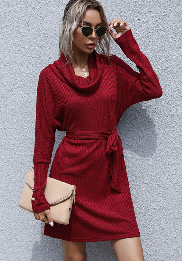 Women's Autumn Black Turtleneck Solid Knit Sweater Dress