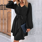 Women's Spring/Autumn Chic Solid Color Long Sleeve Dress