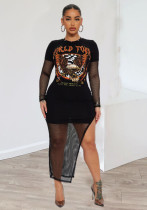 Women Autumn Patchwork Mesh Printed Dress