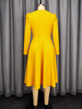 Women Puff Sleeve Dress