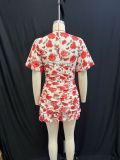 Women Summer Floral V-Neck Puff Sleeve Ruffle Dress