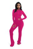 Women's Fashion Casual Solid Color Hooded Two-Piece Pants Set