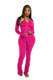 Women's Fashion Casual Solid Color Hooded Two-Piece Pants Set