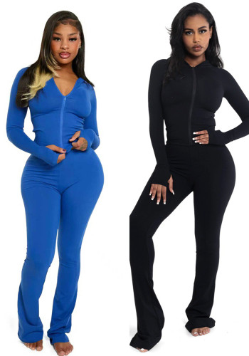 Women's Fashion Casual Solid Color Hooded Two-Piece Pants Set