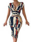 Women's Sexy Fashion Print Sleeveless V-Neck Dress